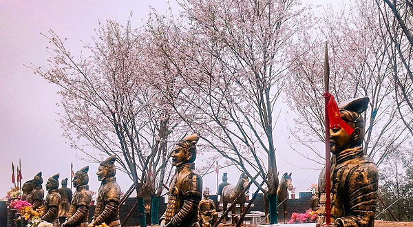 株洲婆仙岭樱花园