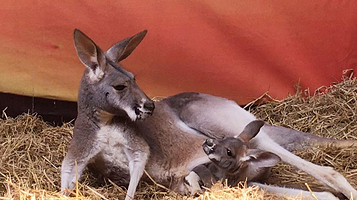 中山公园动物园