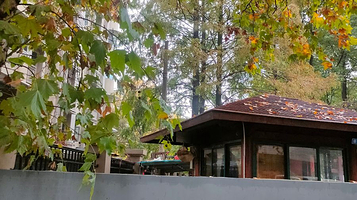 石头城遗址公园