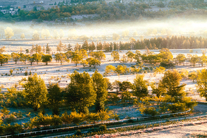 千松坝国家森林公园