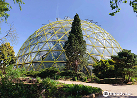 杜塞尔多夫植物园