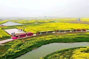 高邮·湖上花海