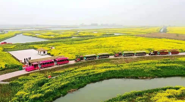 高邮·湖上花海