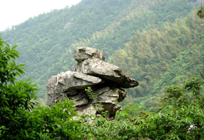 余姚市东岗山森林公园