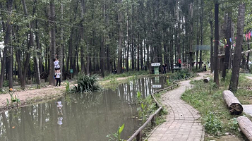 飞奔奔树上探险乐园