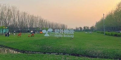 墅外桃源·花海露营地