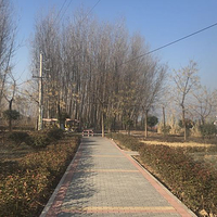 汤阴汤河国家湿地公园