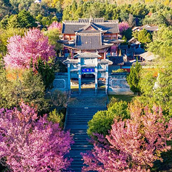 苍山