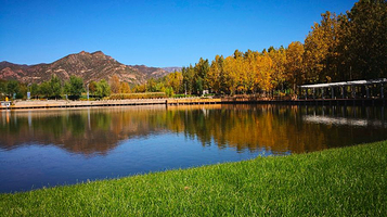 太伟生态度假公园