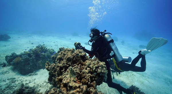 Y星人潜水俱乐部