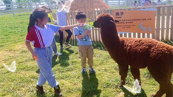 右江湾青青牧场