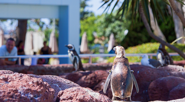 圣地亚哥海洋世界