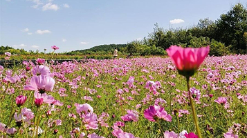花间小筑风景区