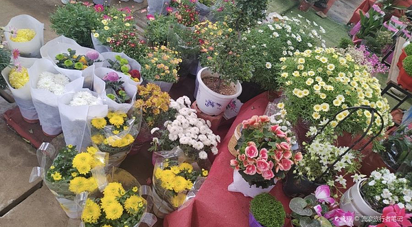 花木大世界