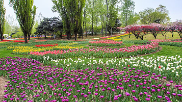 新枫林花海无忧牧场