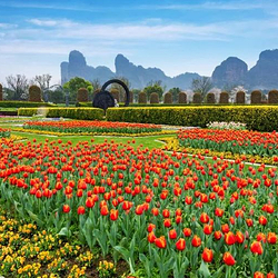 龙虎山花语世界景区