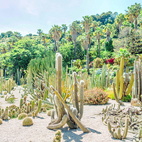 巴塞罗那植物园