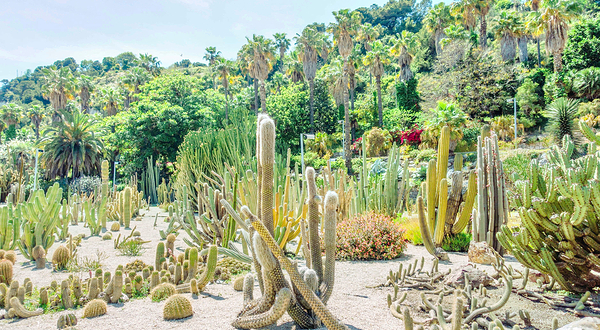 巴塞罗那植物园