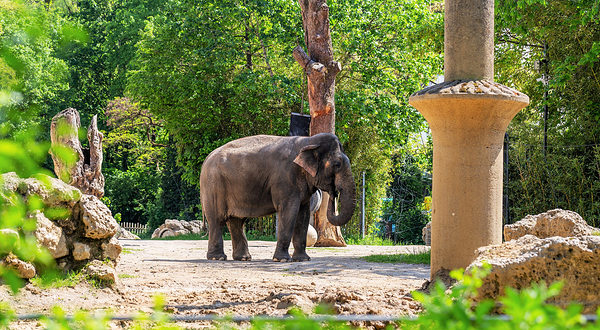 海拉布伦动物园