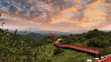 渭河源国家森林公园