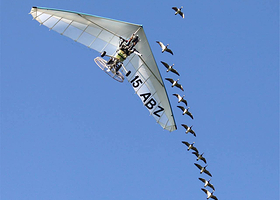 雪野湖飞行体验观光