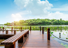 荷塘月色湿地公园