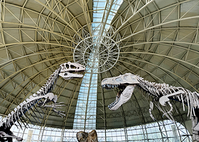 诸城恐龙博物馆