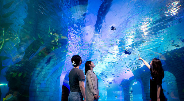 天津文化中心海底世界