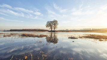 北龙湖湿地公园