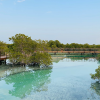 朱拜勒红树林公园