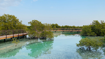 朱拜勒红树林公园