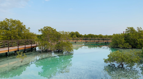 朱拜勒红树林公园