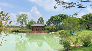 武汉农业集团空港湿地花田