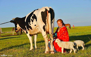 乌拉盖野狼谷景区