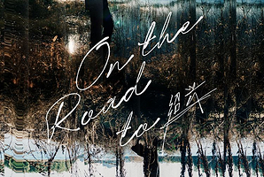 绍兴 · 王铮亮On The Road to ...巡回演唱会-绍兴站