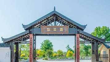 大泽天香牡丹园