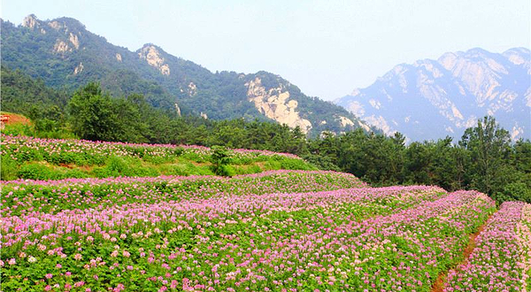 昆嵛山石门里景区