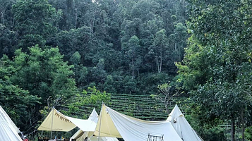 大尖山露营公园