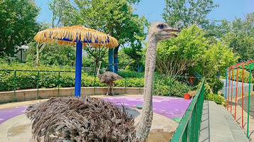 哆哆萌宠乐园(恒大海上威尼斯)