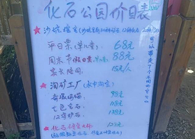 地球日记·化石公园