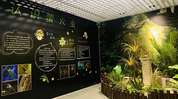 萤火虫(天津店)