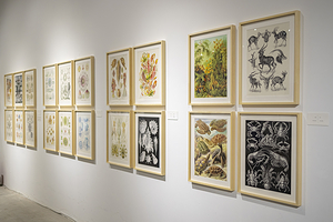 IOMA爱马思艺术中心