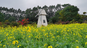 华阳湖克拉农场·农家乐·烧烤野炊