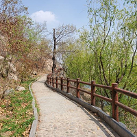 泰安龙湾地质公园