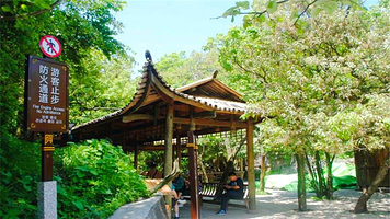 天门山国家森林公园-珙桐园商亭