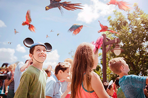 迪士尼动物王国