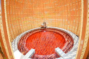 崀山太阳谷生态园