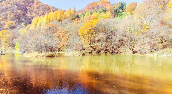 筐子沟生态风景区