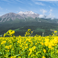 阿咪东索景区