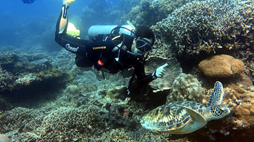 双月湾Nelson 潜水俱乐部